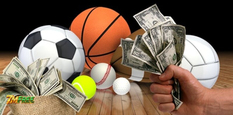 7MFree Sports - What Does 7MFree Sports Offer?