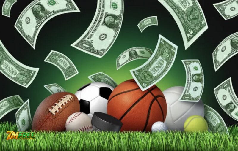 7MFree Sports - How Do Pre-Match And Live Data Differ?